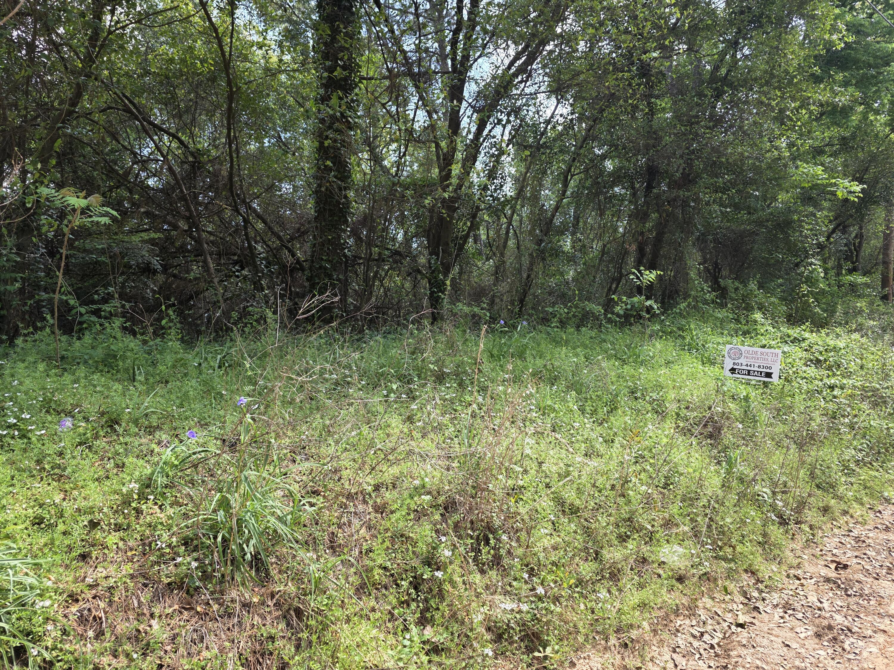 3a Woodberry Lane Property Photo 2
