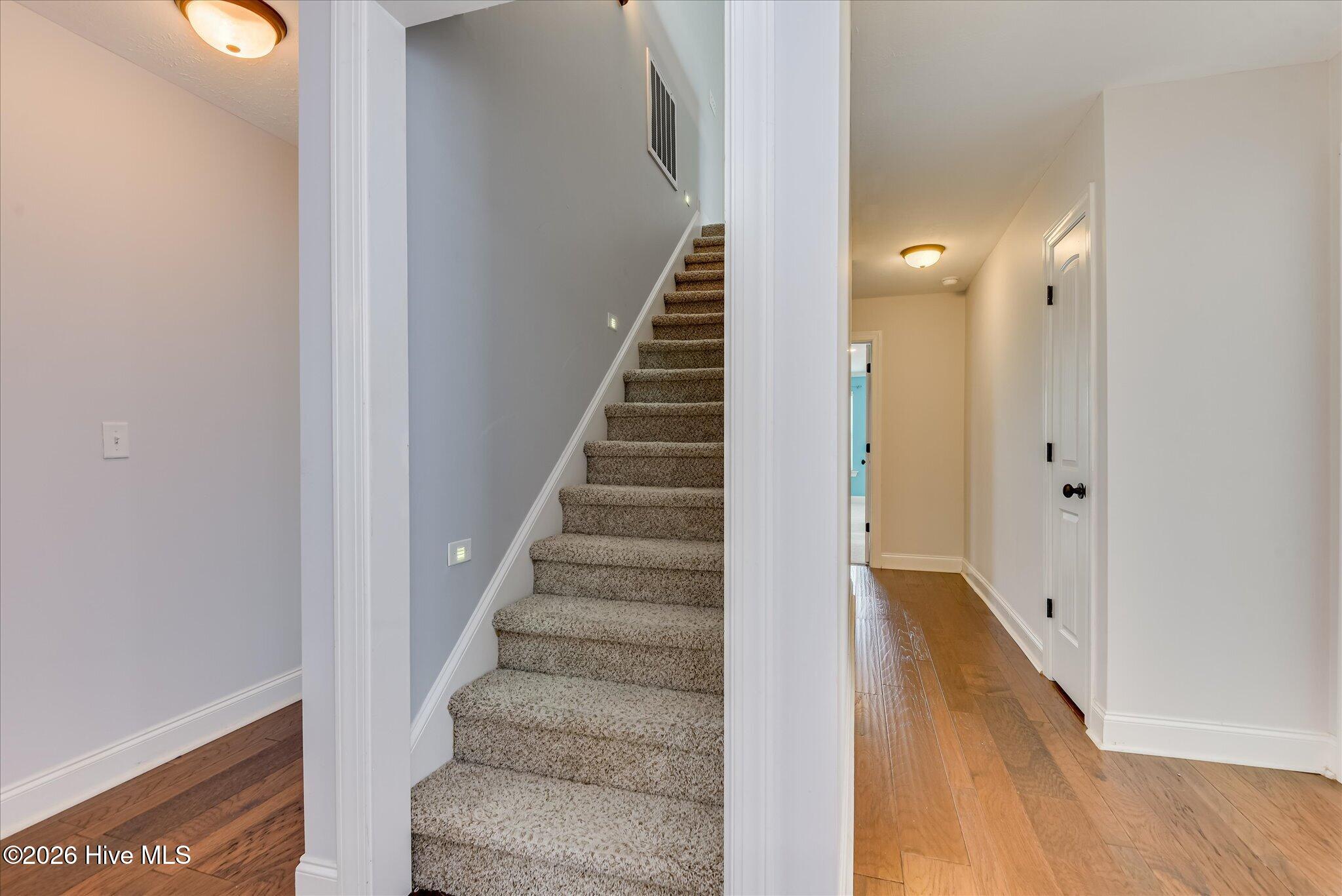 2203 Heart Pine Trail Property Photo 64