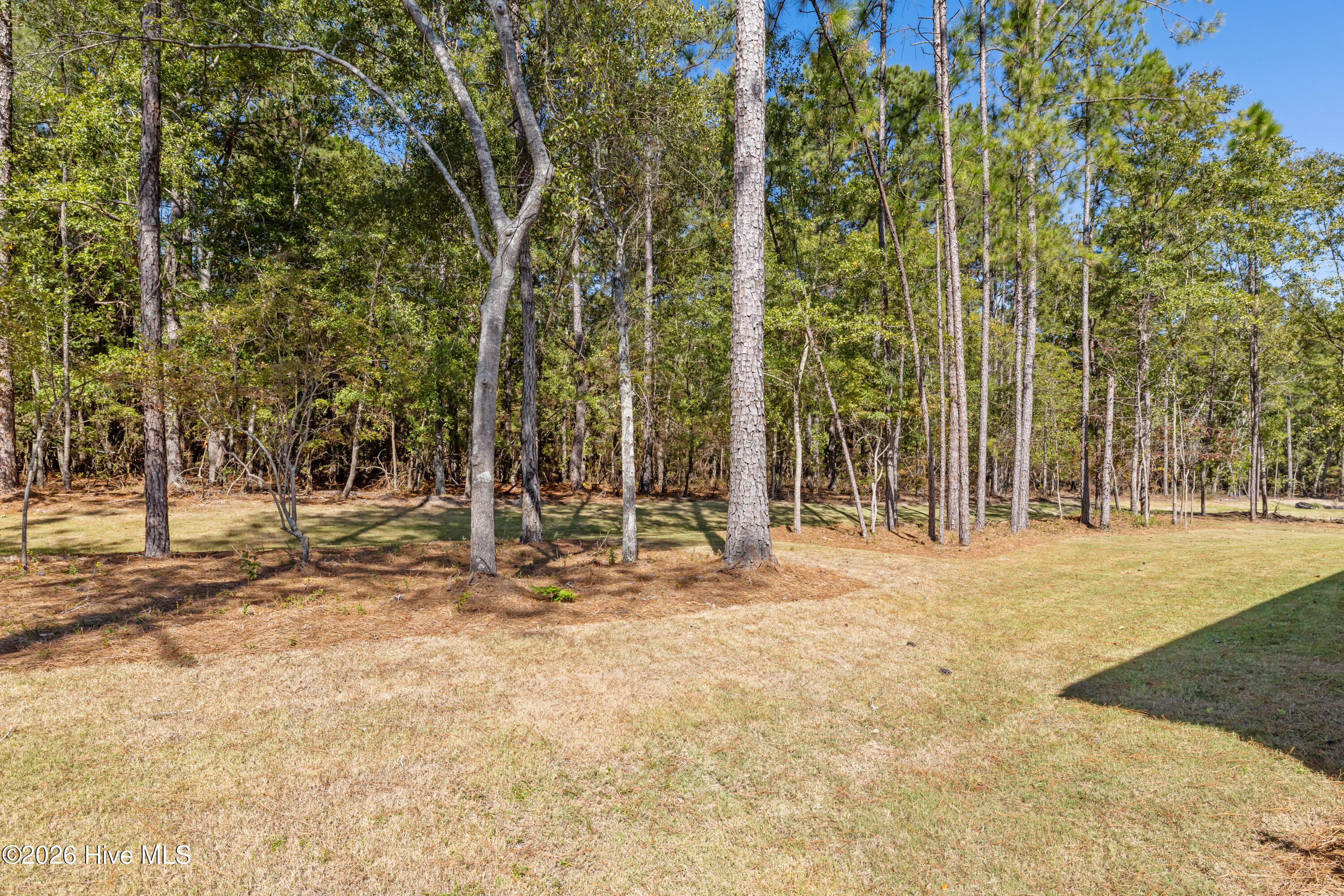 434 Longshadow Drive Property Photo 66