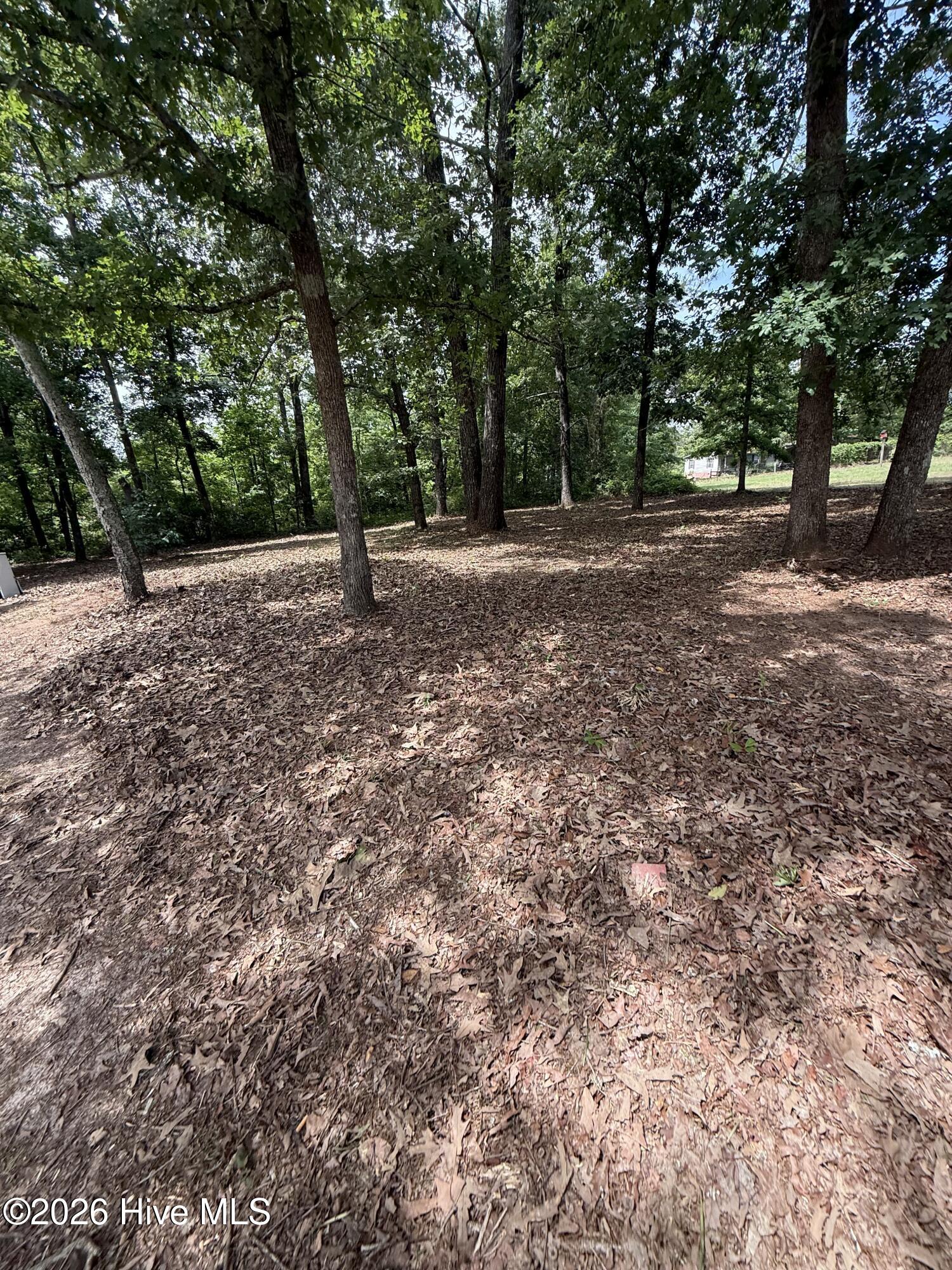 3641 Hillman Gay Road Property Photo 13