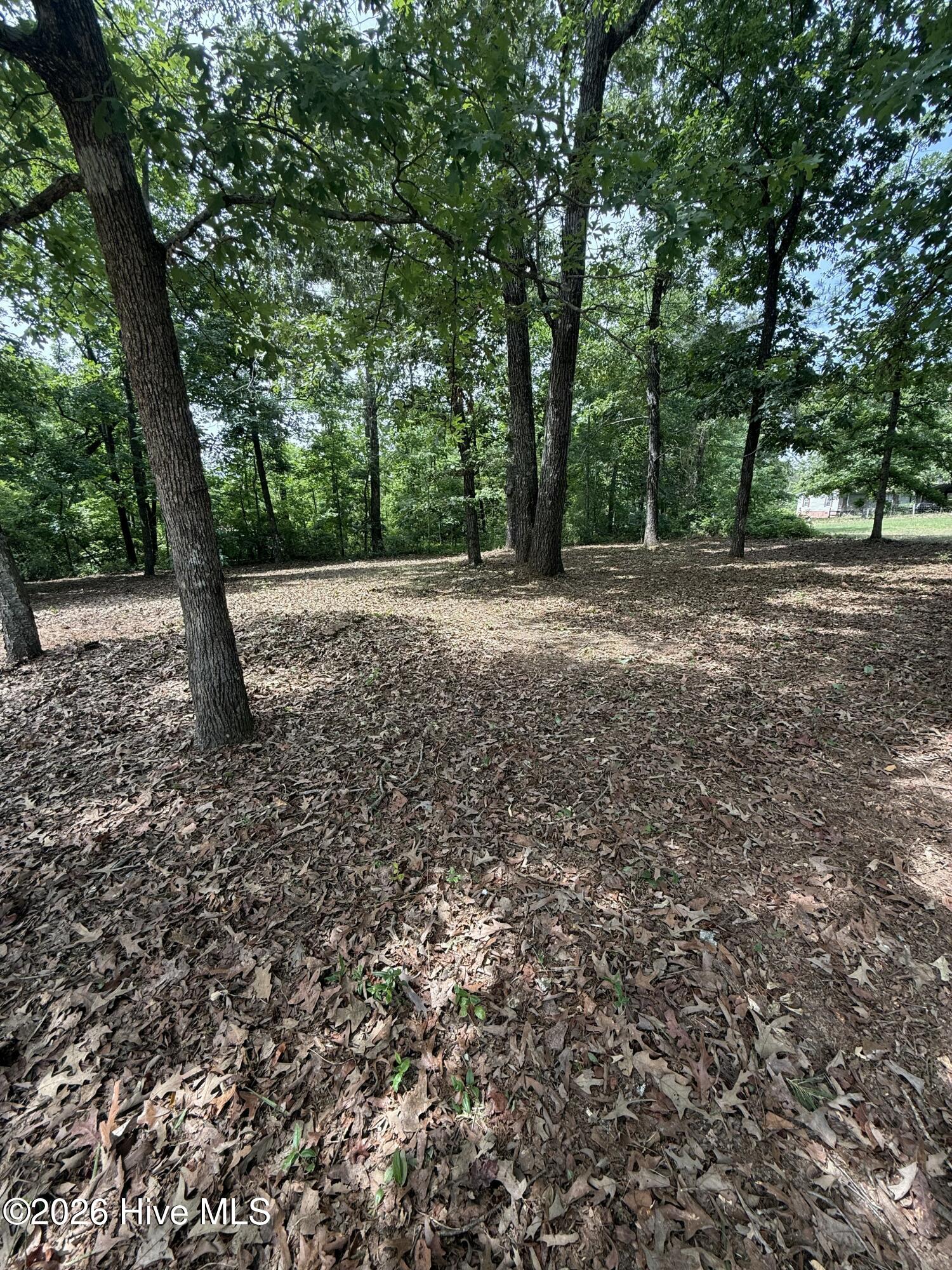 3641 Hillman Gay Road Property Photo 14