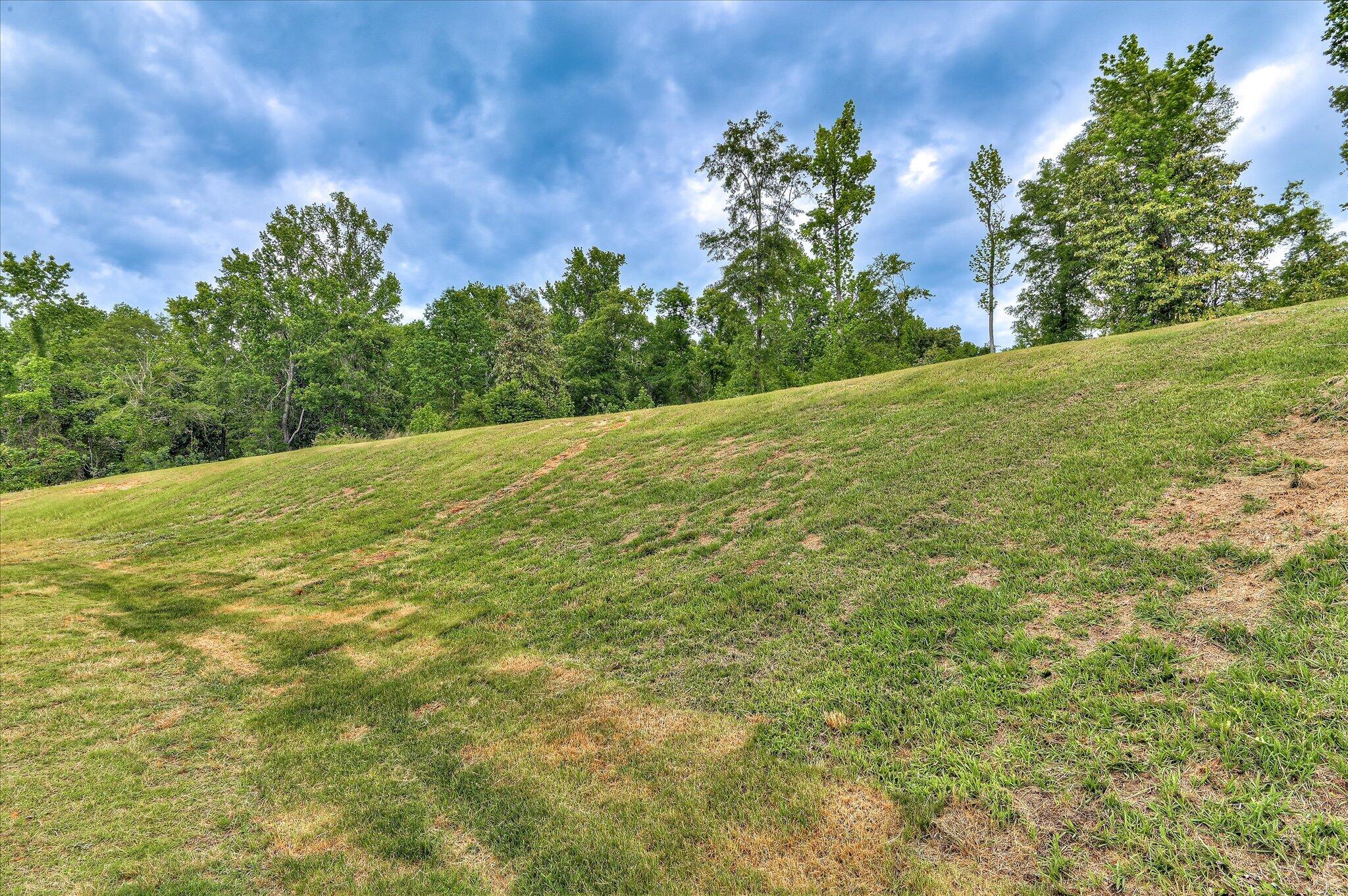 183 Williston Road Property Photo 31