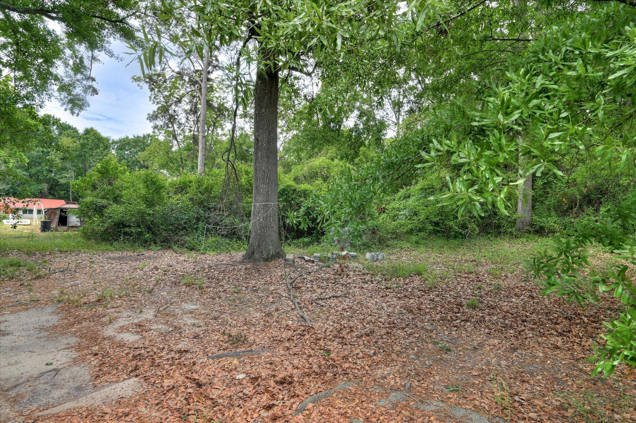 1933 George Road Property Photo 25