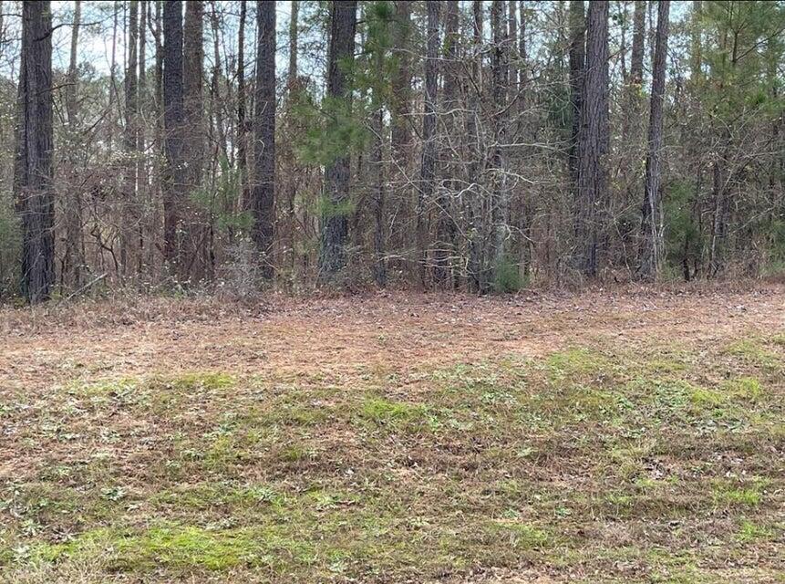N-63 Eutaw Springs Trail Property Photo 1