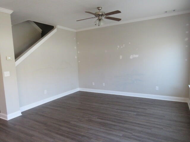 4409 Castellon Way Property Photo 6