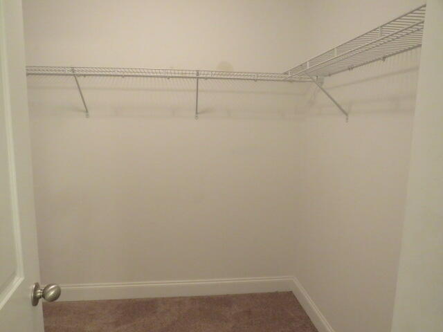 4409 Castellon Way Property Photo 9