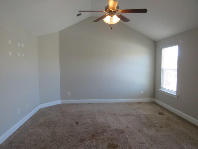 4409 Castellon Way Property Photo 10