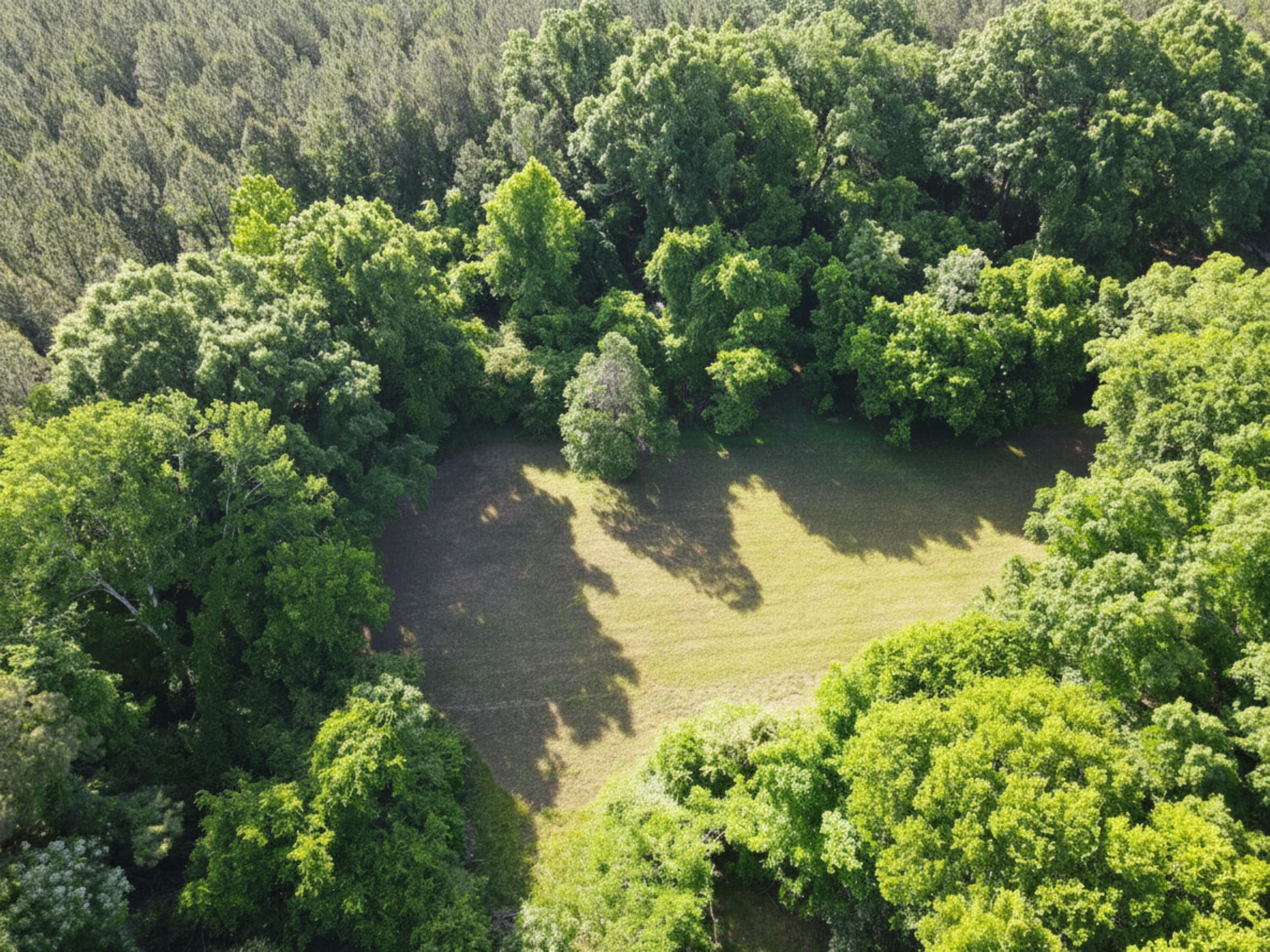 1830 Jack Ray Road Property Photo 75