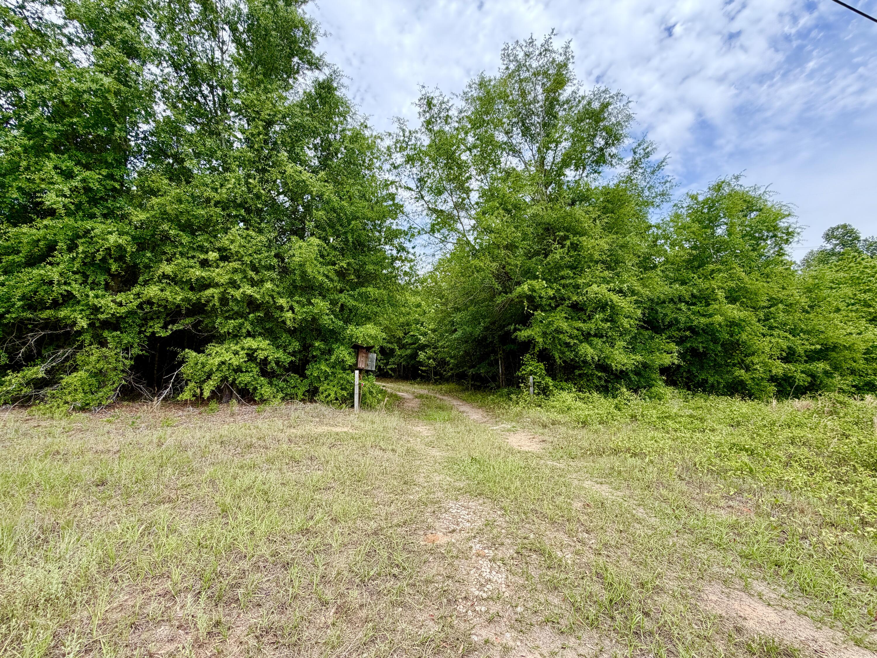 215 Gresham Road Property Photo 11