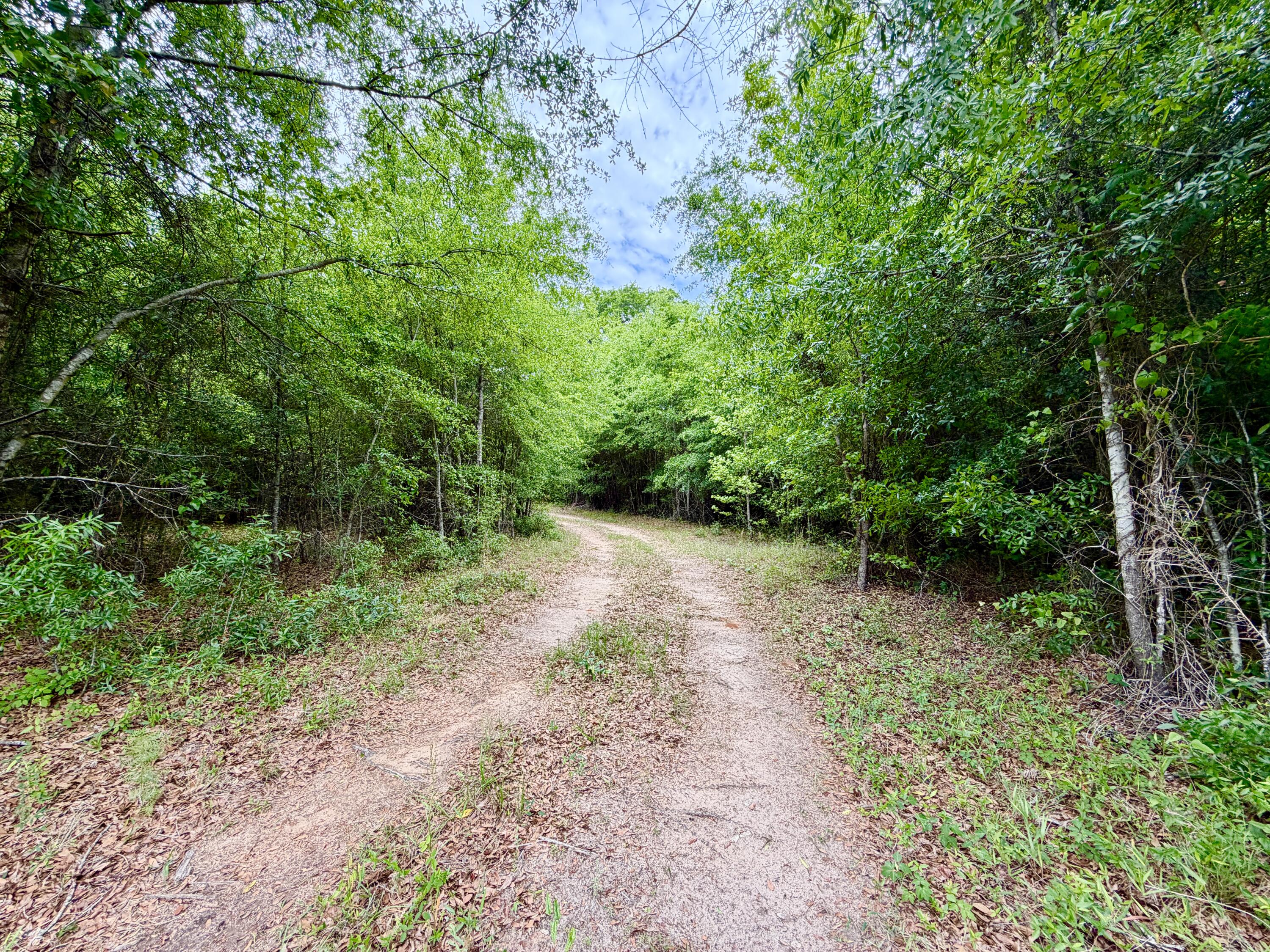 215 Gresham Road Property Photo 12