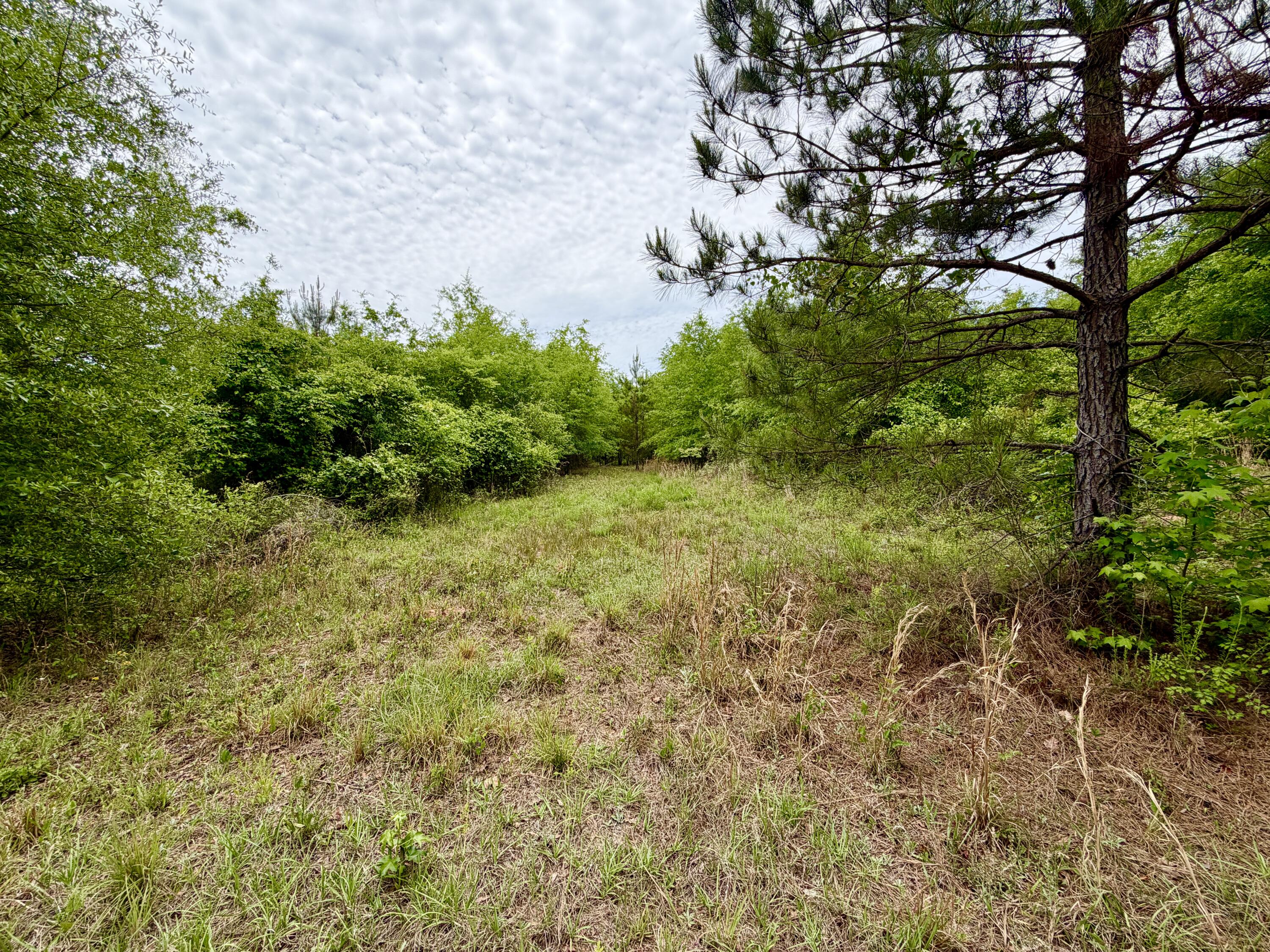 215 Gresham Road Property Photo 13