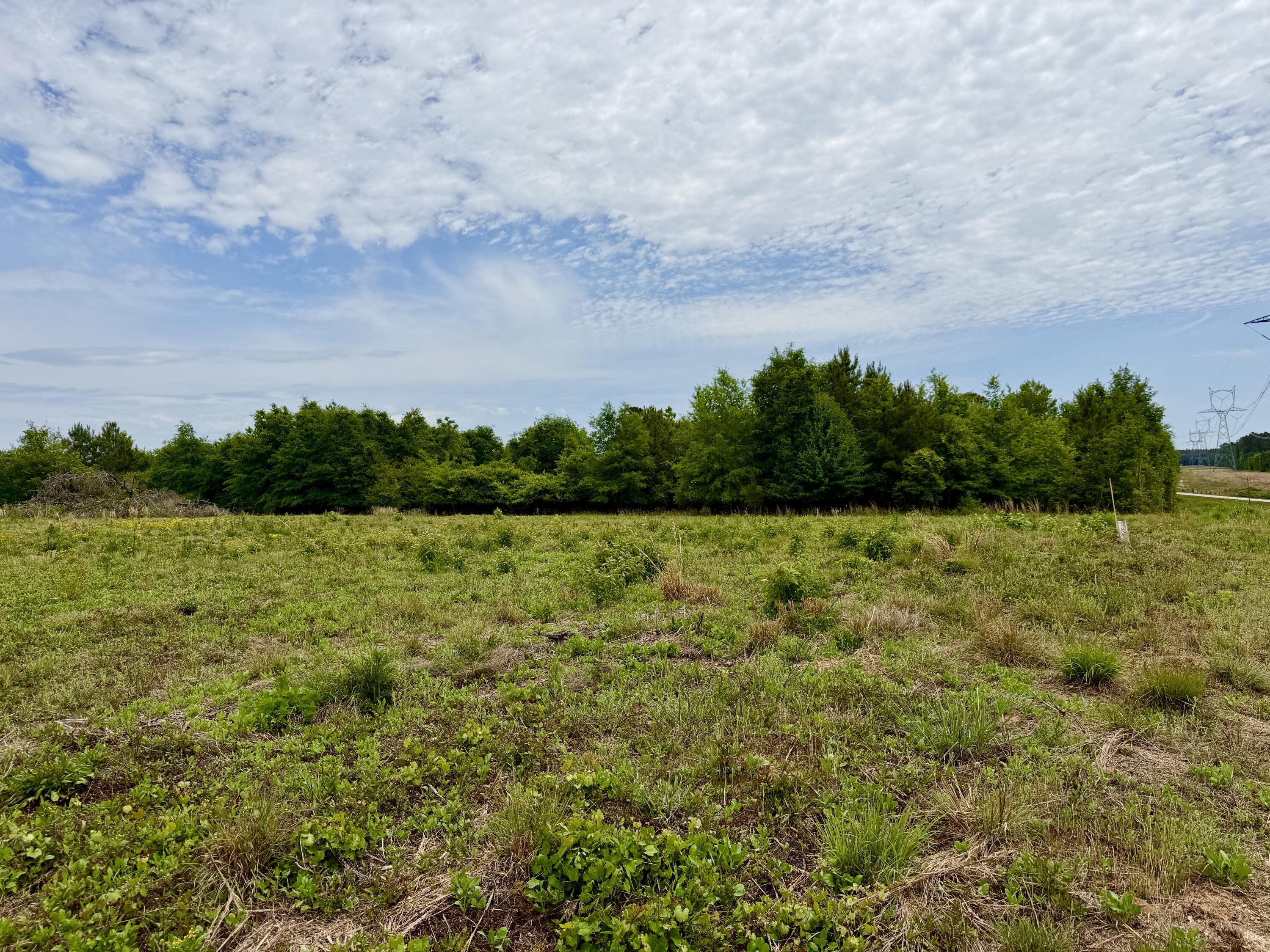 215 Gresham Road Property Photo 14