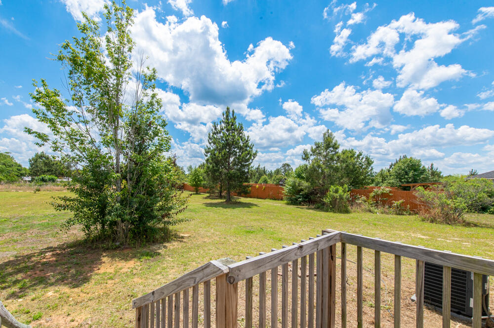 3584 Ga Highway 88 Property Photo 18