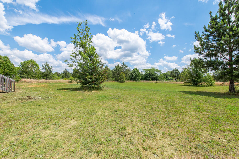 3584 Ga Highway 88 Property Photo 19