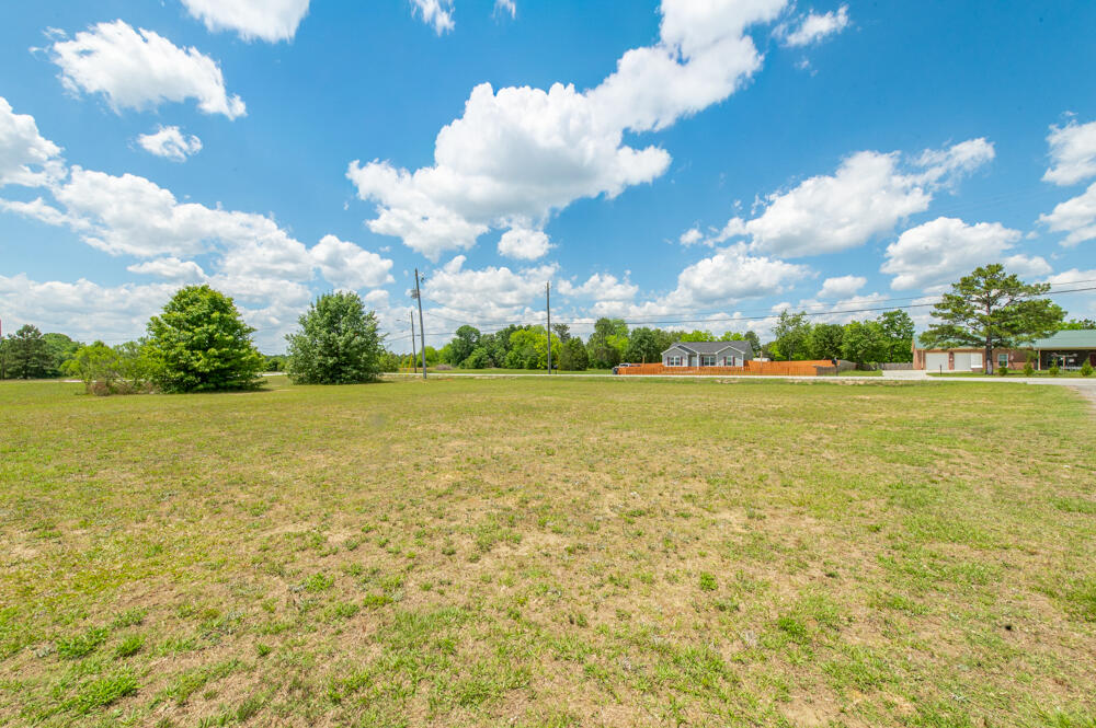 3584 Ga Highway 88 Property Photo 20