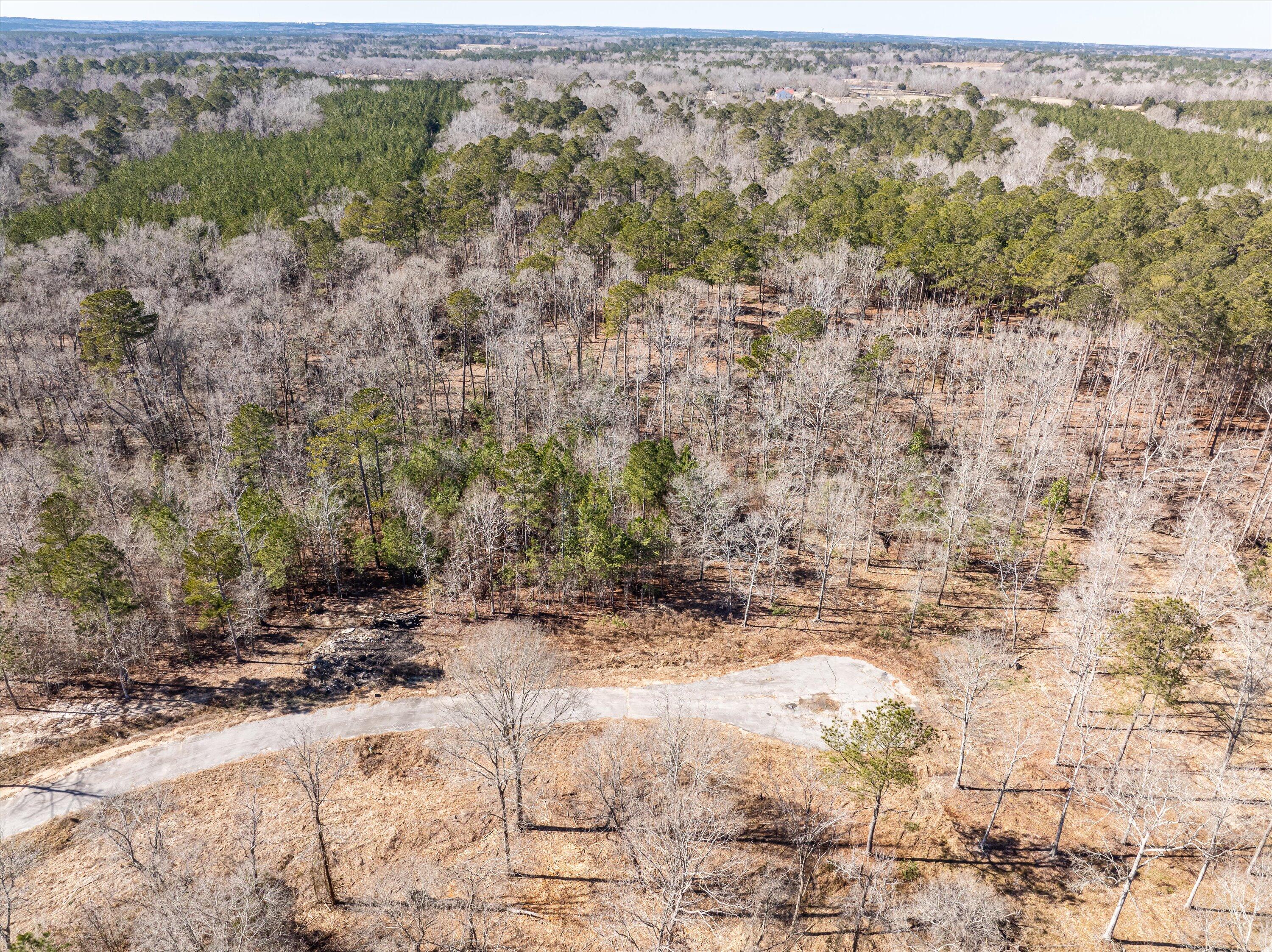 151 Gin Branch Road Property Photo 1