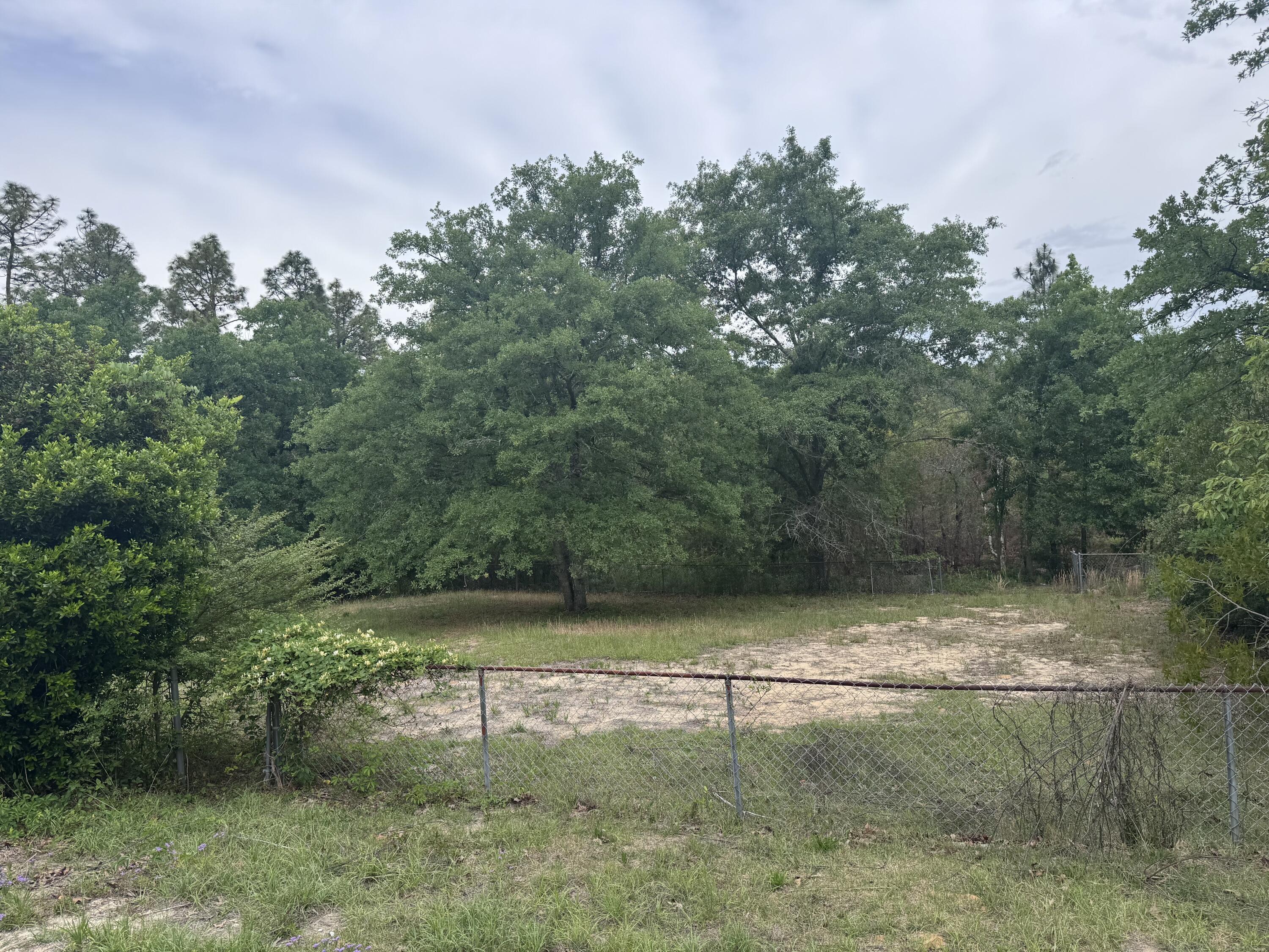 4417 Etterle Road Property Photo 4