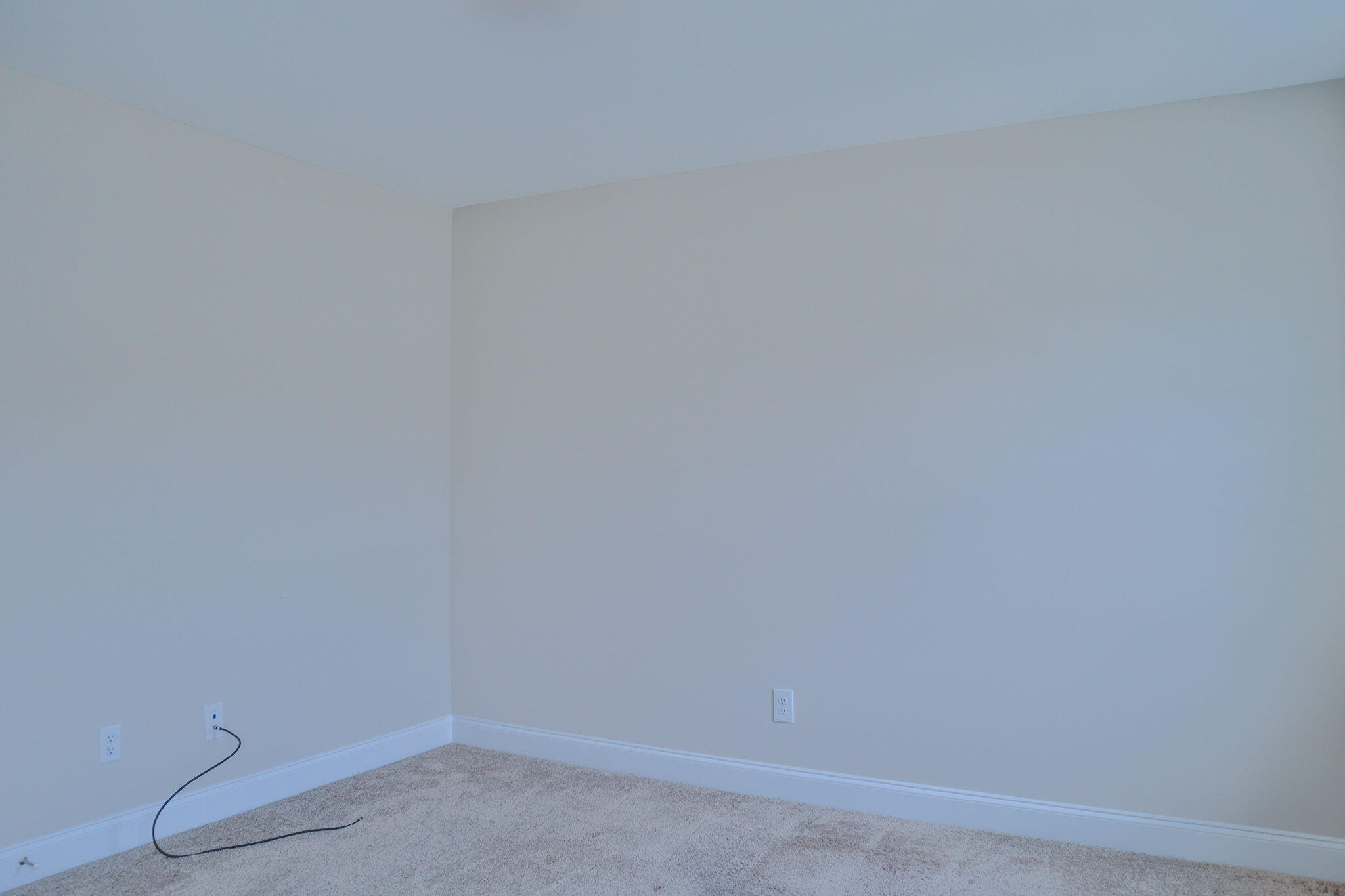 1305 Batchelor Court Property Photo 36