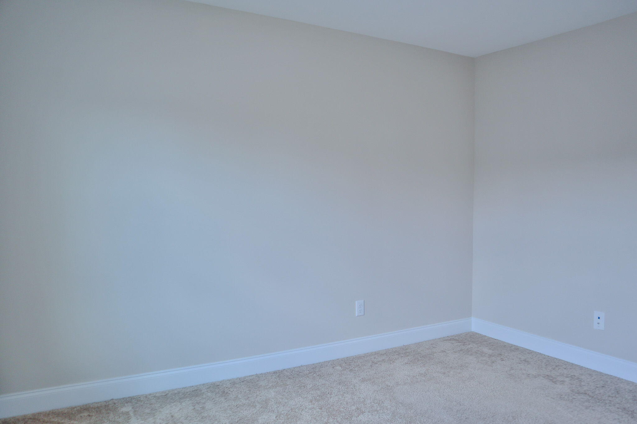 1305 Batchelor Court Property Photo 42