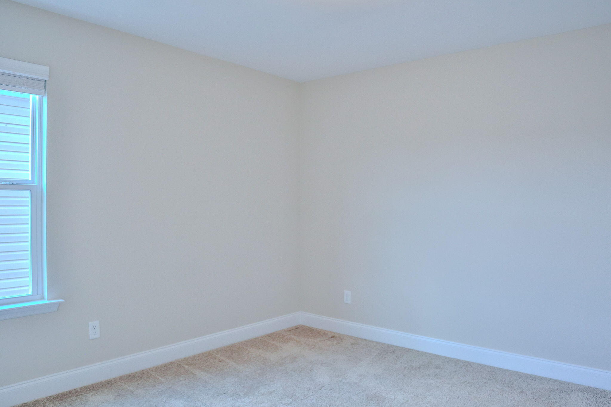 1305 Batchelor Court Property Photo 43