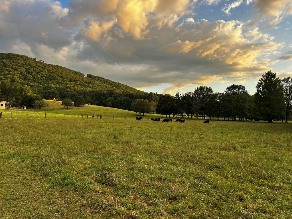 3147 Old Hwy 64 W Property Photo 100
