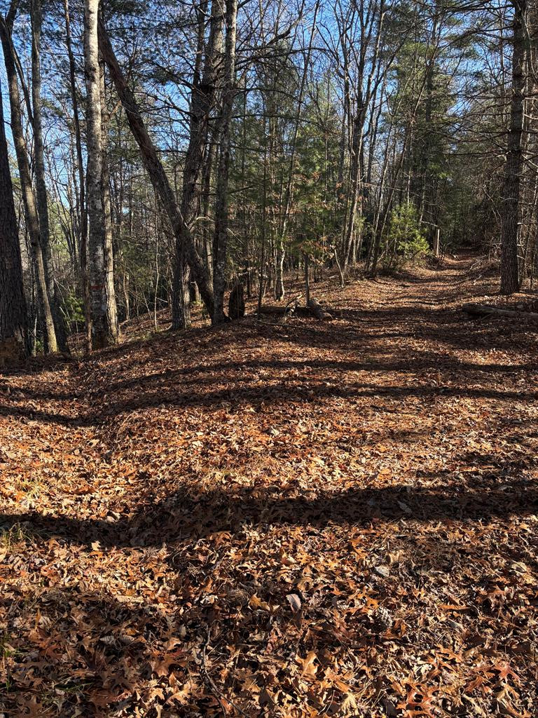 Lot 60 Thundering Hill Property Photo 1