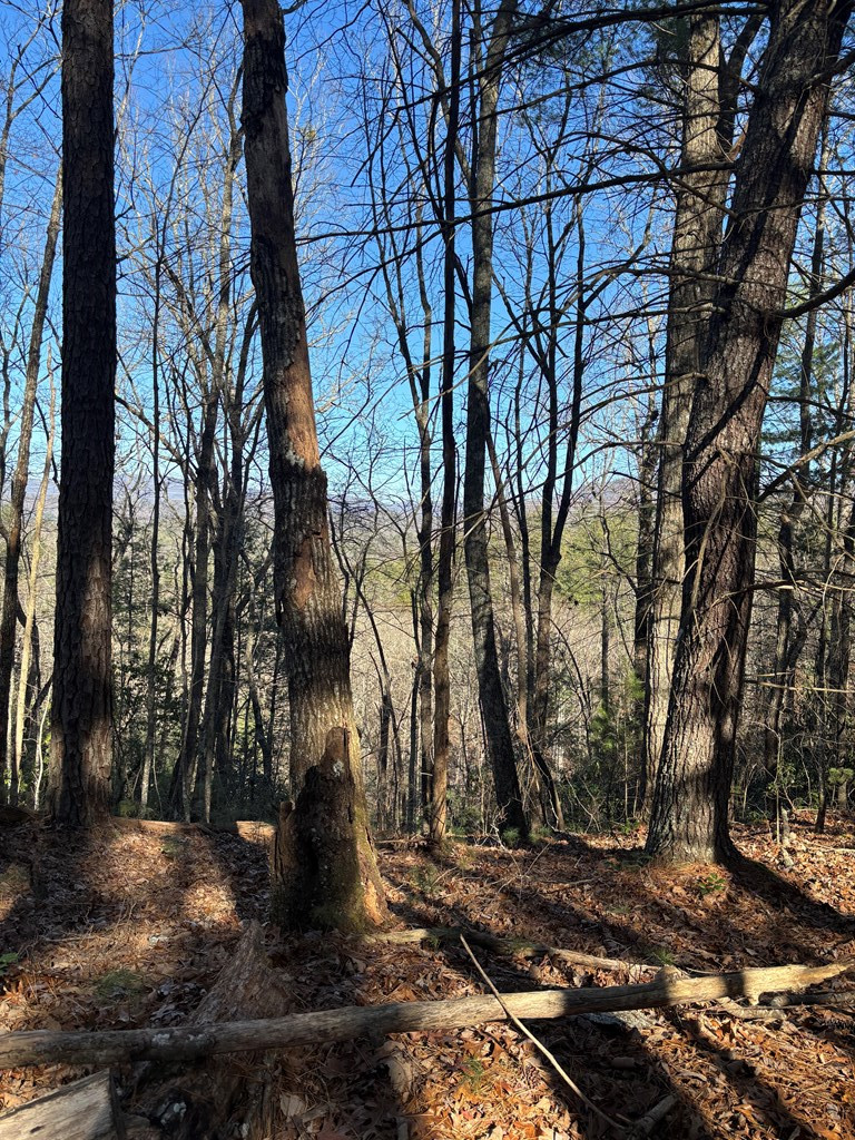 Lot 60 Thundering Hill Property Photo 2