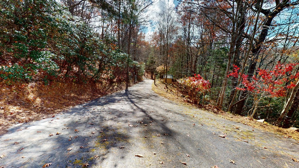324 Azalea Ridge Property Photo 36