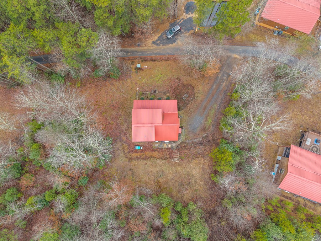 225 Hickory Woods Trail Property Photo 4