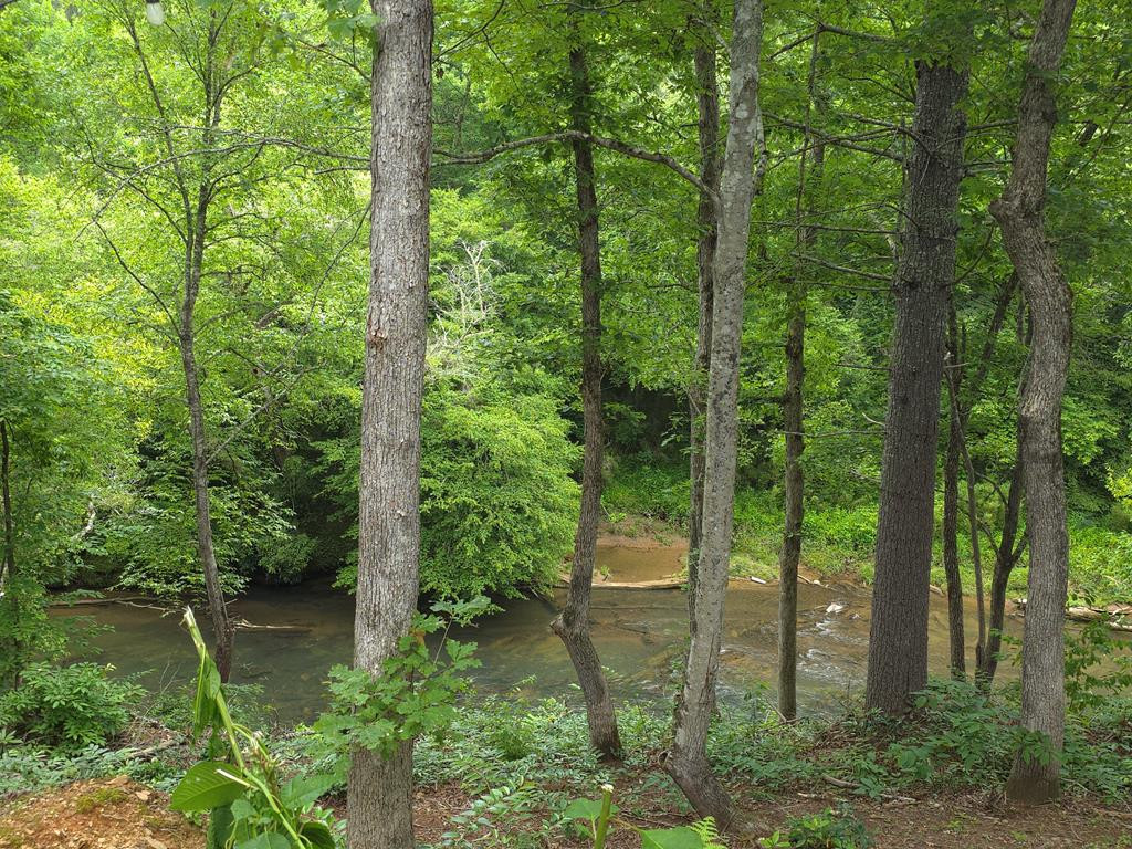 721 Holly Point Drive Property Photo 7