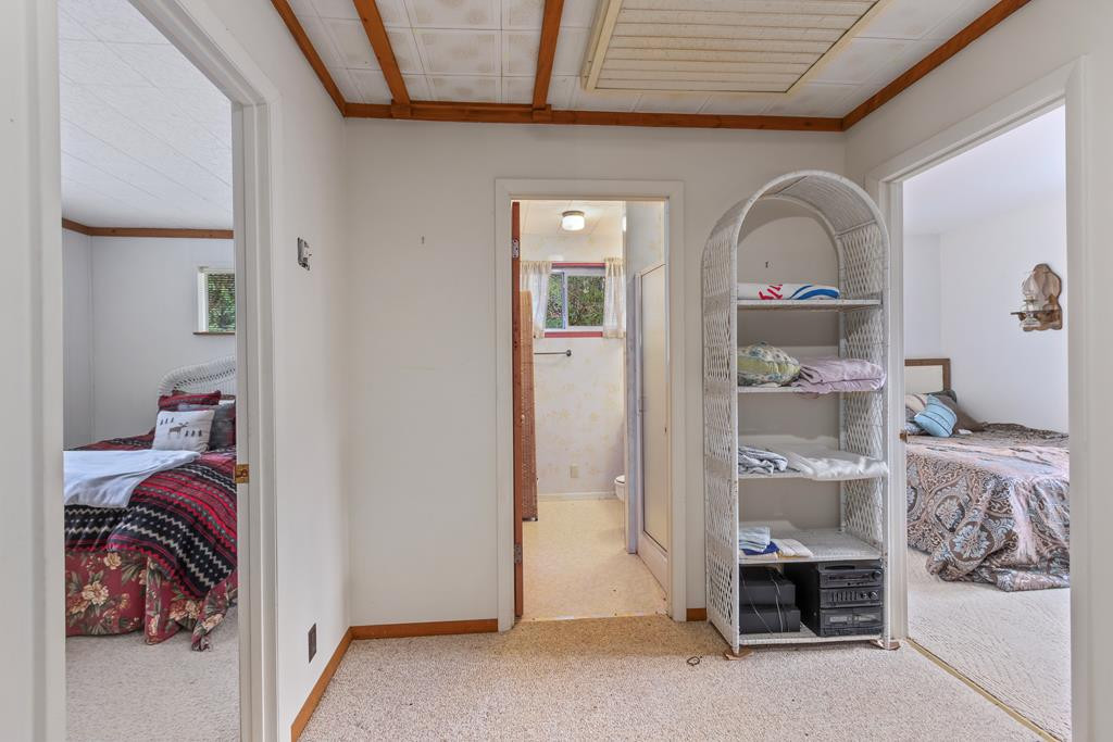 175 Pine Ridge Drive Property Photo 61