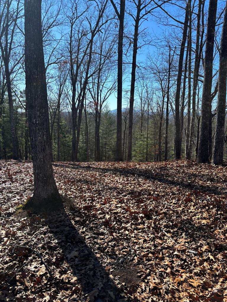 Lot 64 64 Thundering Hill Property Photo 1