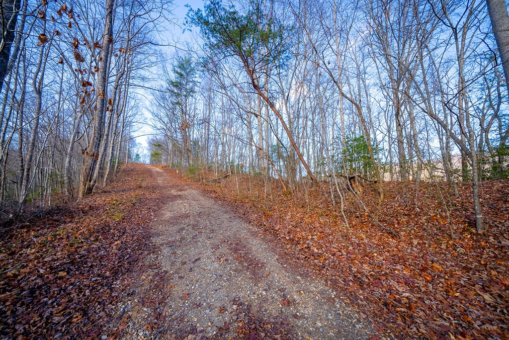 0 Golf Course Road Property Photo 7