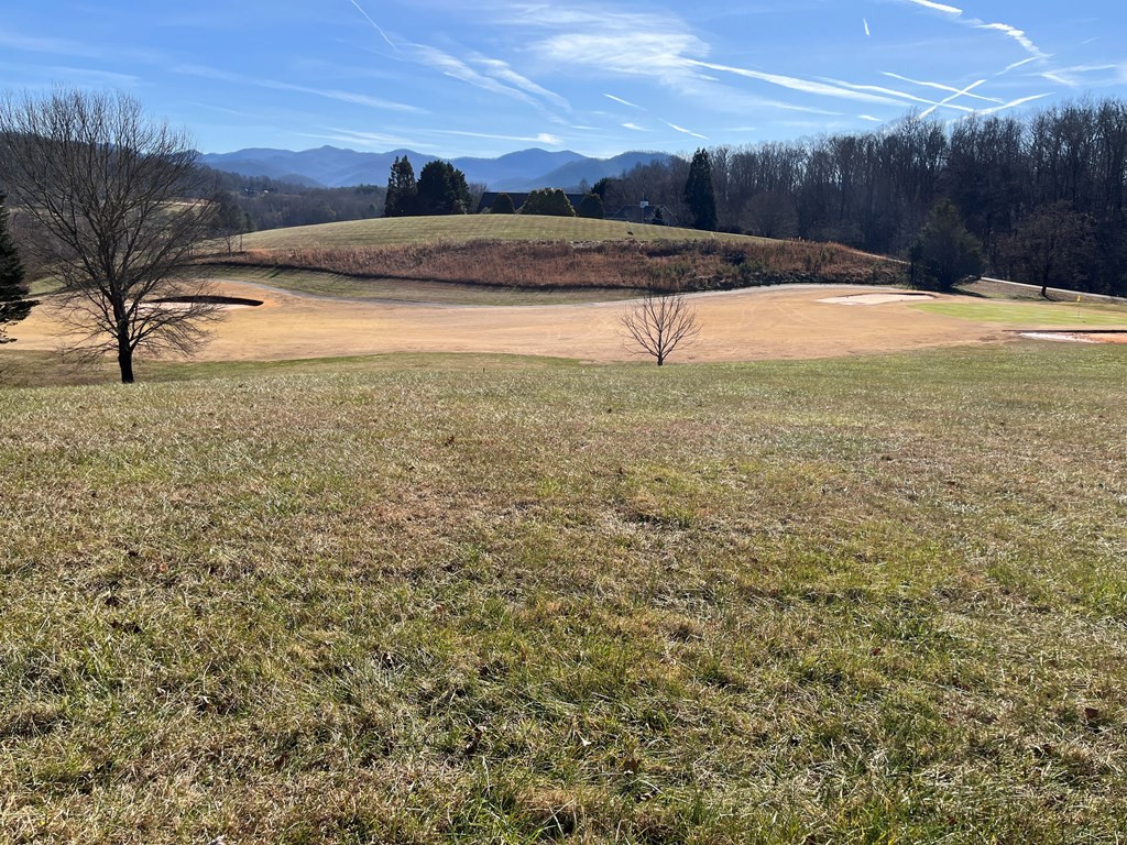 Lot 116a 116a Mountain Harbour Drive Property Photo 5