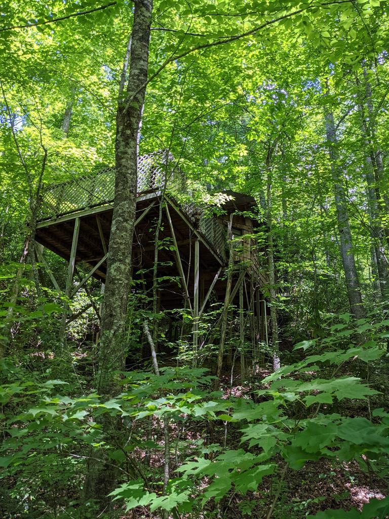 3.38 Long Creek Property Photo 1