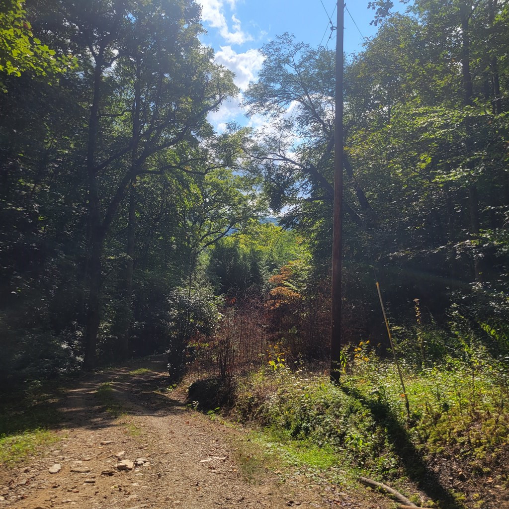 3.38 Long Creek Property Photo 4