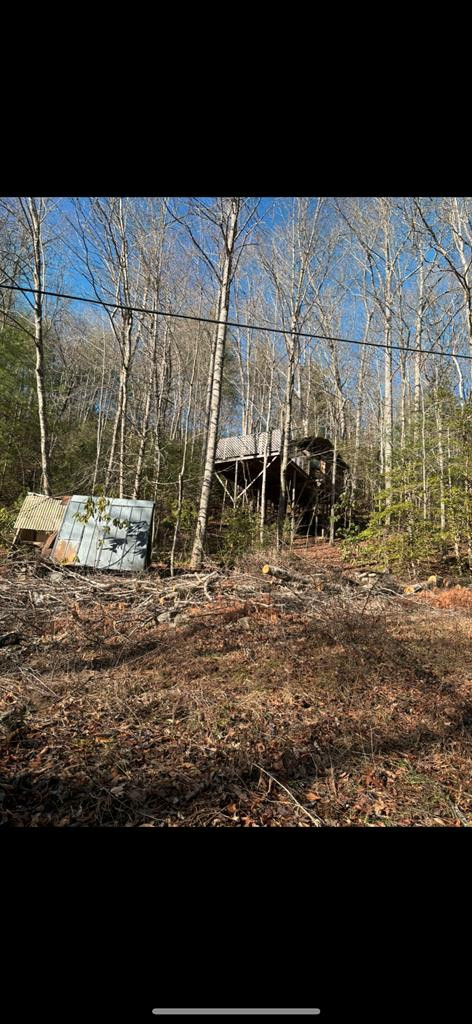 3.38 Long Creek Property Photo 17