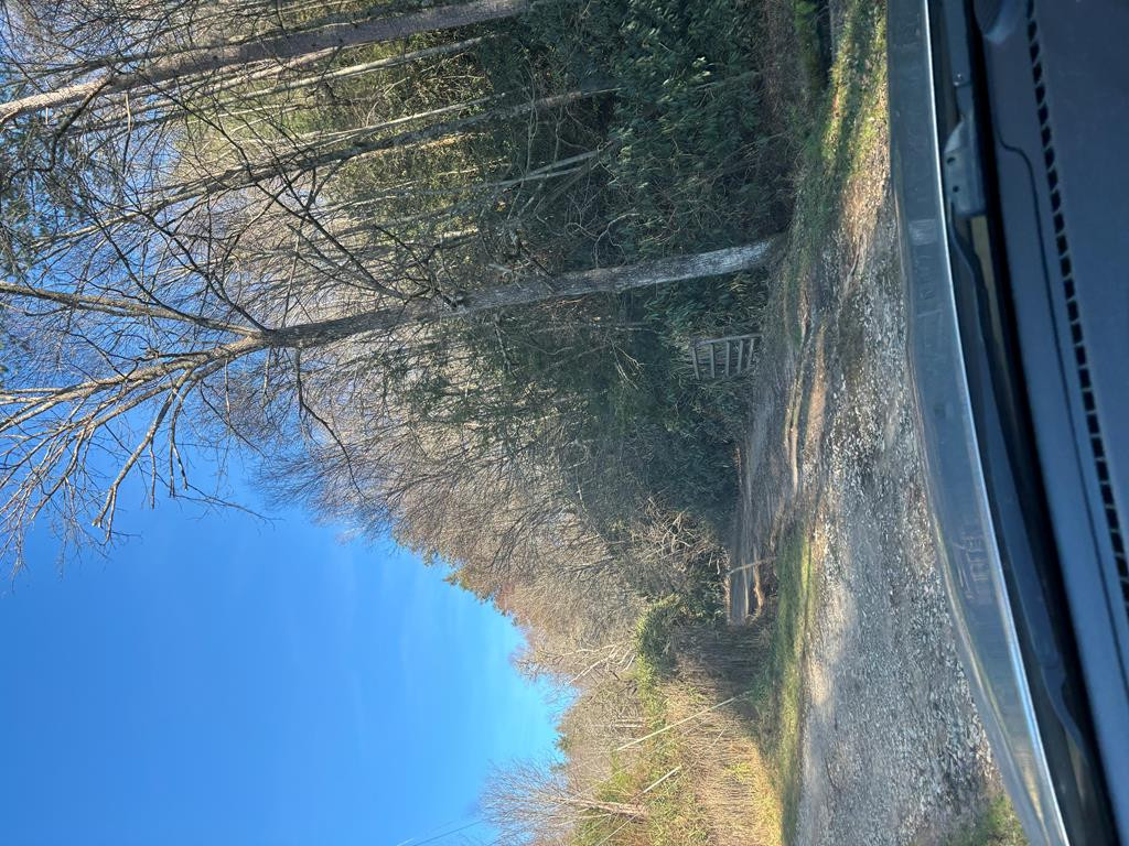 3.38 Long Creek Property Photo 18