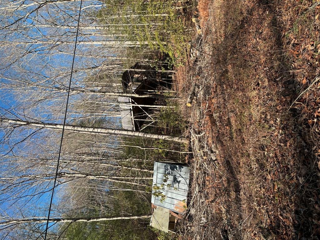 3.38 Long Creek Property Photo 19