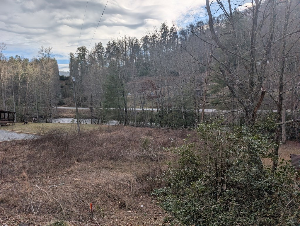 Lot 3 Riverview Property Photo 2