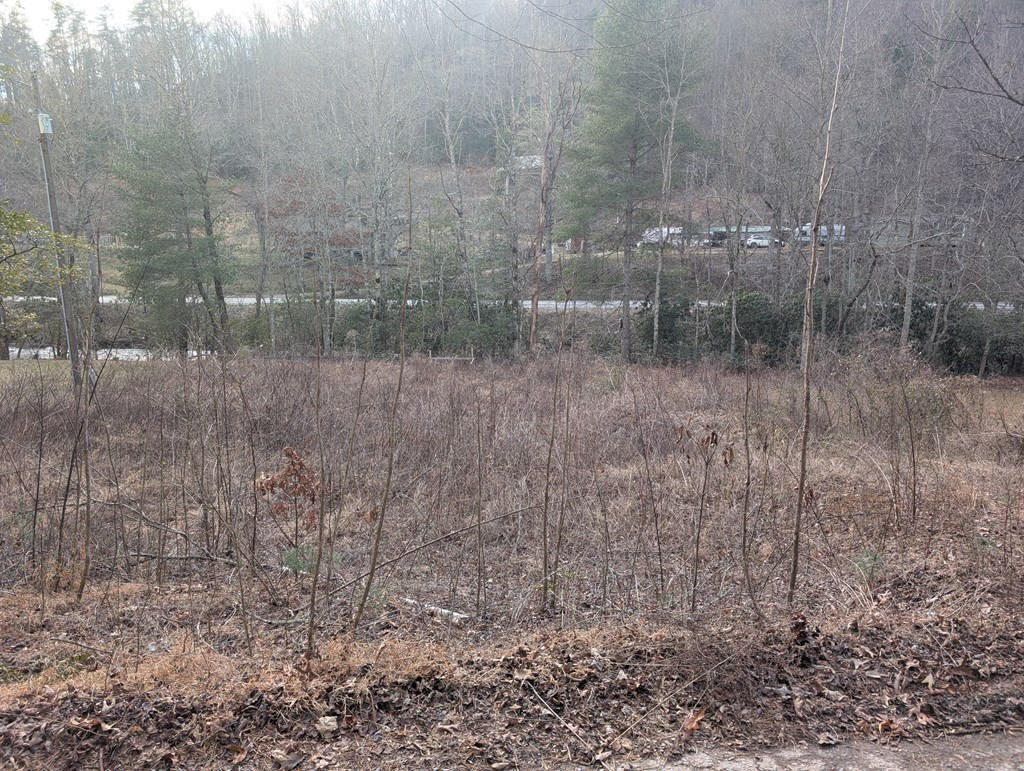 Lot 3 Riverview Property Photo 3