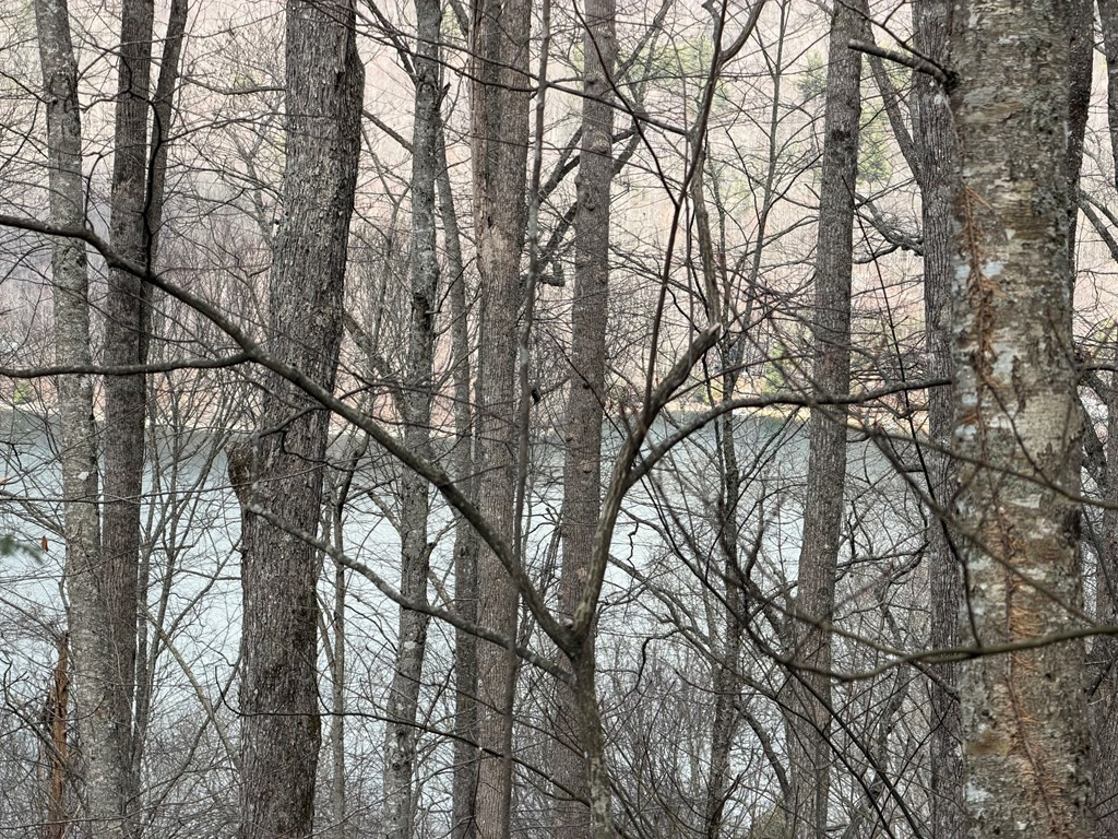Lot #12 12 Lake Vista Circle Property Photo 4
