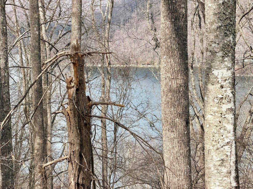 Lot #12 12 Lake Vista Circle Property Photo 5