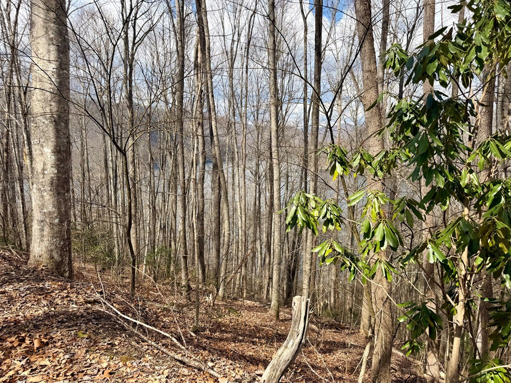 Lot #12 12 Lake Vista Circle Property Photo 6