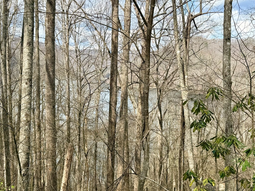Lot #12 12 Lake Vista Circle Property Photo 7