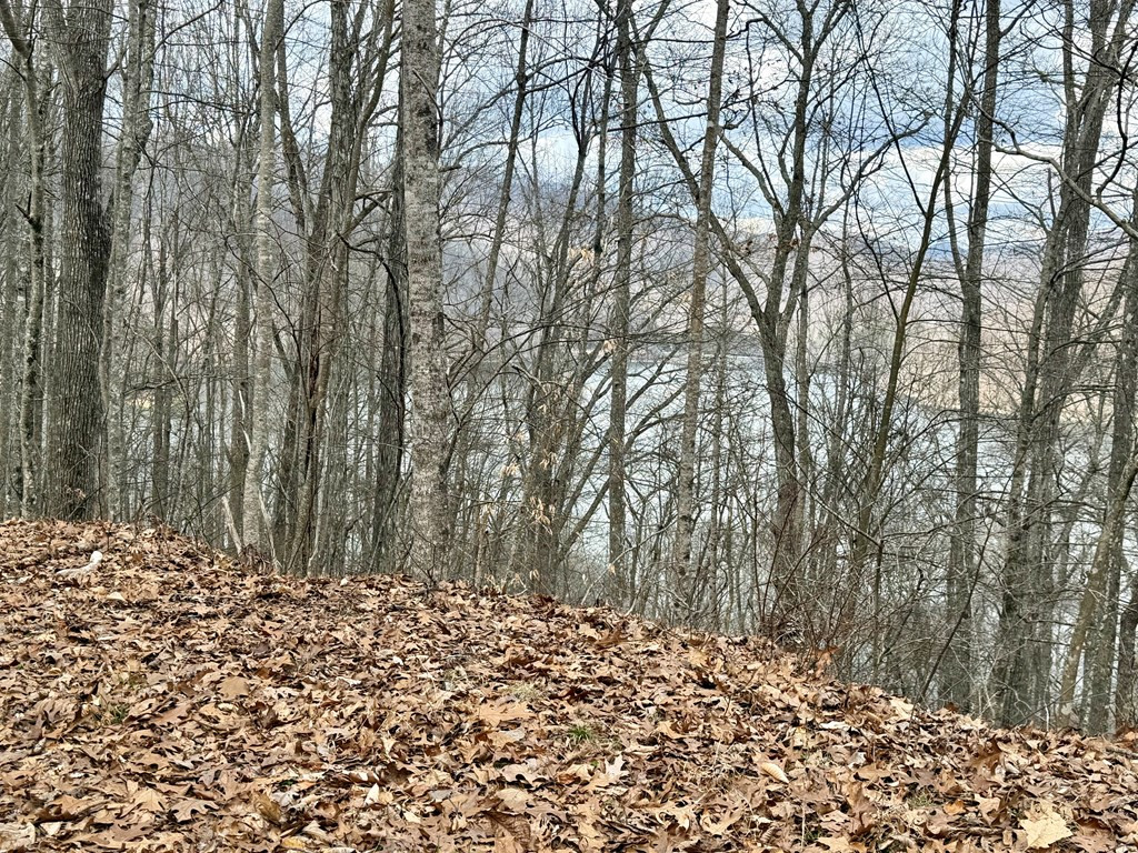Lot #12 12 Lake Vista Circle Property Photo 8