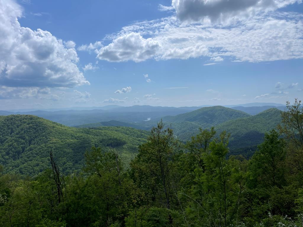 0 Burrell Mountain Road Property Photo 6