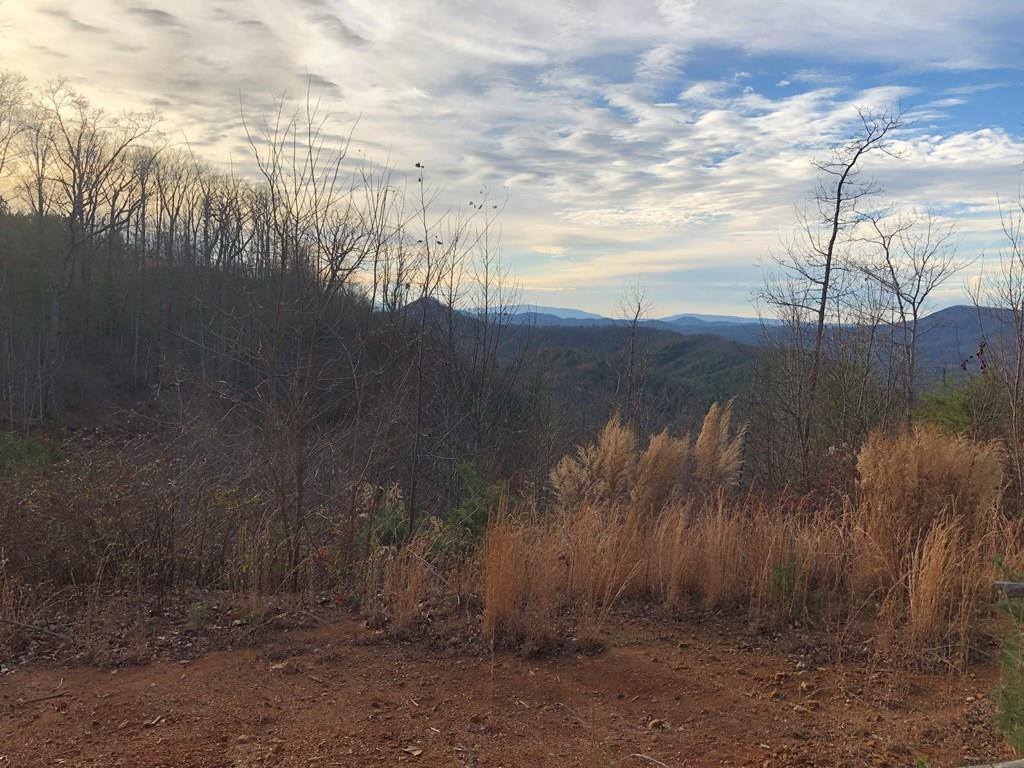 0 Burrell Mountain Road Property Photo 8