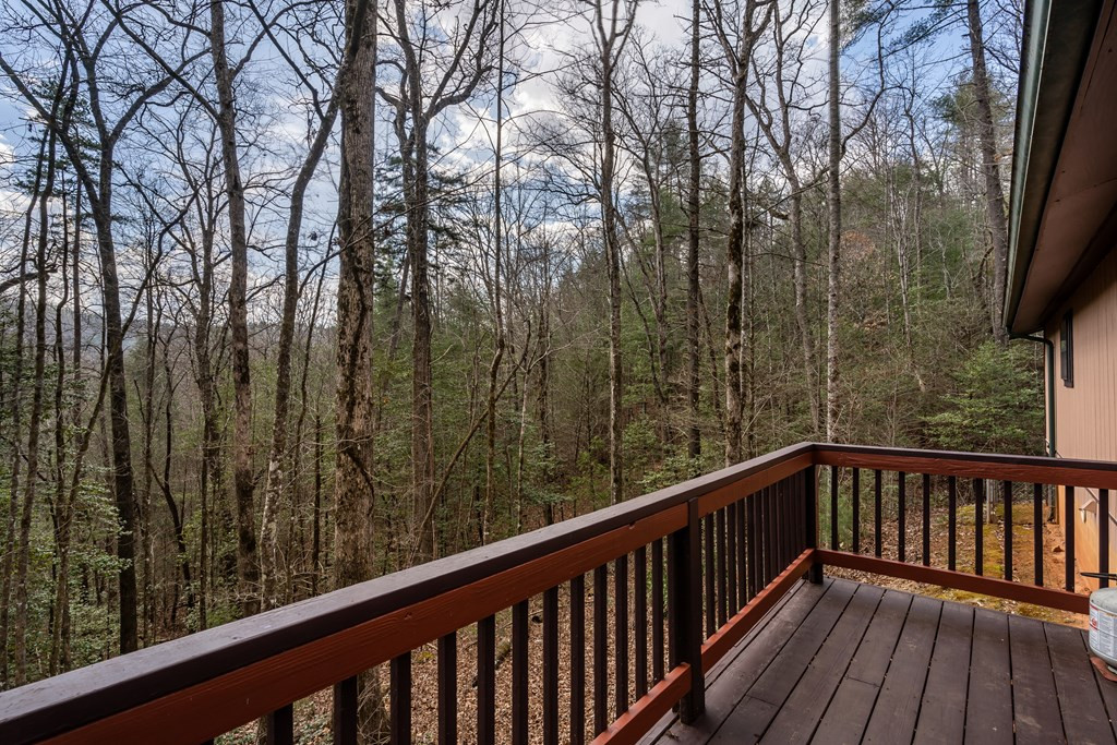 79 Serenity Lane Property Photo 31