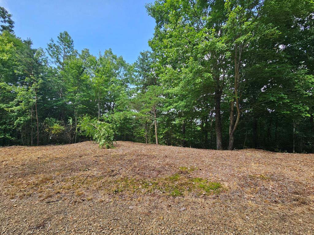 270 80 Graystone Drive Property Photo 2